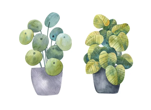 Ensemble Plantes Fleurs Maison Illustration Aquarelle Scierie Décorative Sur Fond — Photo