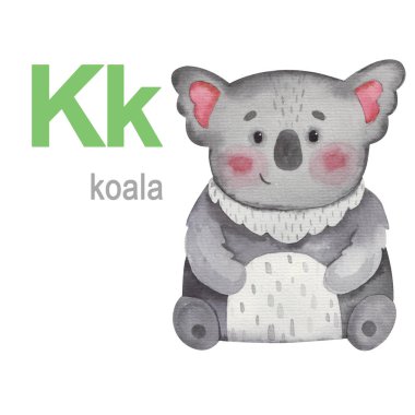 K harfi hayvan alfabesi resimli koala seti