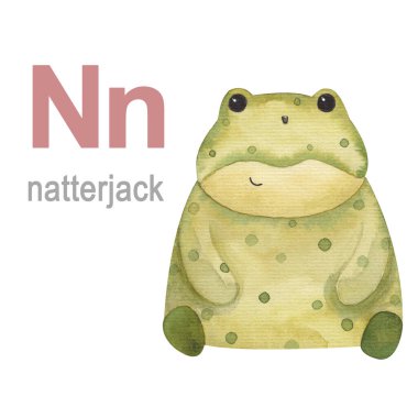 Hayvanlar alfabe illüstrasyonunun harf kümesi natterjack