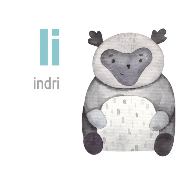 Σύνολο Γραμμάτων Εικονογράφηση Ζωικού Αλφαβήτου Indri — Φωτογραφία Αρχείου