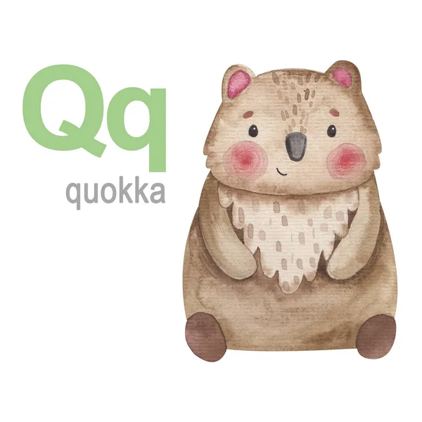 Bokstav Uppsättning Djur Alfabetet Illustration Quokka — Stockfoto