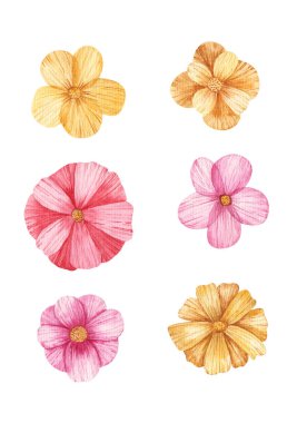 Renkli çiçekler suluboya resimlerini beyaz arkaplana yerleştirdiler