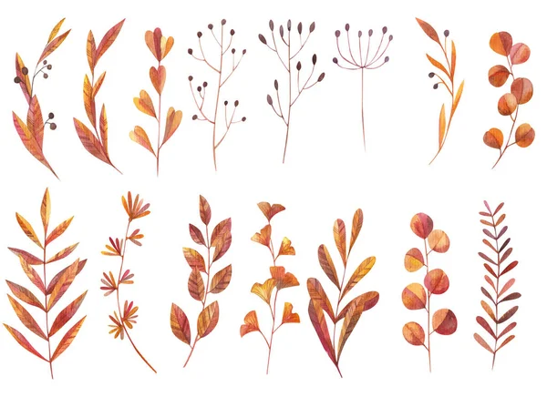 Set Aus Gelben Blättern Und Zweigen Dekorative Elemente Aquarell Illustration — Stockfoto