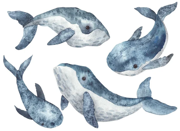 Set Van Walvissen Aquarel Illustratie Witte Achtergrond — Stockfoto