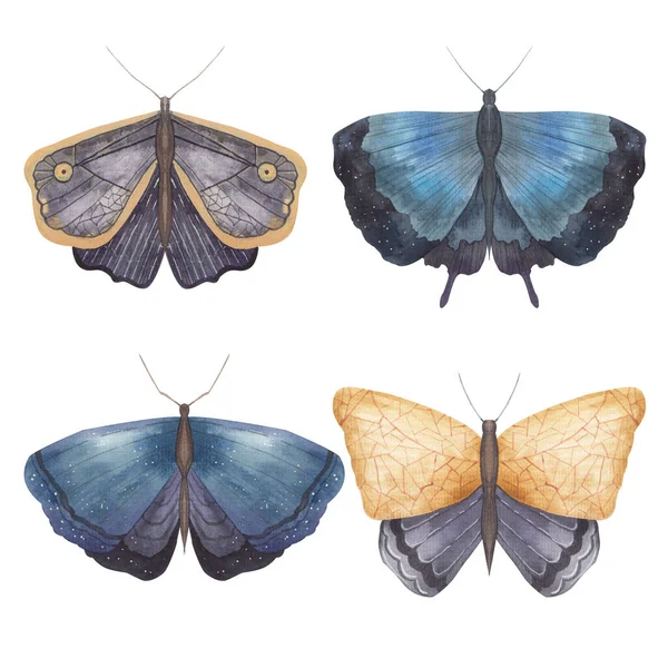 Набір Метеликів Молі Білому Тлі Акварельна Ілюстрація — стокове фото