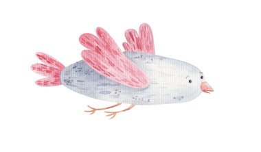 çizgi film kuşları, çocuk suluboya çizimleri, baskı tasarımı, çıkartmalar.