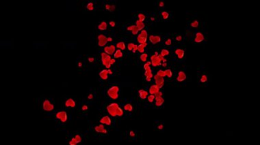 Romantik kalp, siyah ekran arka planında beliren ve yüzen efektleri şekillendirir. Örtüler, aşk temalı videolar ve hareketli grafikler için mükemmeldir..
