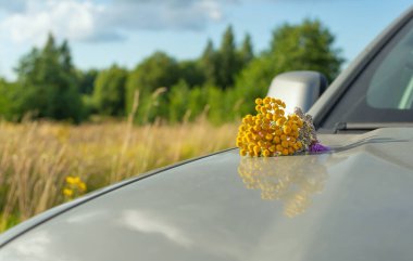 Arabanın kaputunda bir buket yabani çiçek, yaz ormanı ve ormanın arka planına karşı. Salgından sonra otomobil yolculuğu kavramı. Seçici odak, boşluğu kopyala