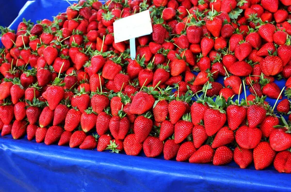 红色成熟草莓 大量成熟的红色草莓正在大减价 水果和蔬菜零售市场的展示 展览是蓝色的 浆果的贸易 季节性产品 文本的复制空间 — 图库照片