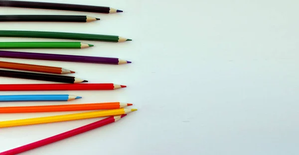 白い背景の色鉛筆 色鉛筆がたくさんあります 色鉛筆 鉛筆が鋭い 鉛筆は左側にある 美しい背景 接近中だ コピースペース バナー — ストック写真