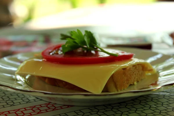 Käsebrötchen, eine Scheibe Tomate und Dill auf einem weißen Teller auf dem Tisch. Das Konzept des Essens für unterwegs. Imbiss. Mittagessen. Frühstück. Essen. Blick von der Seite. Kopierraum. — Stockfoto