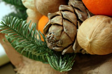 Çam kozalakları, fındık, fıstık. portakal ve ladin dalı. Noel ve Yeni Yıl teması. Bayram teması. Yiyecekler. Atıştırmalık Geçmişi. Makro. Seçimlere odaklan. Metin için alanı kopyala