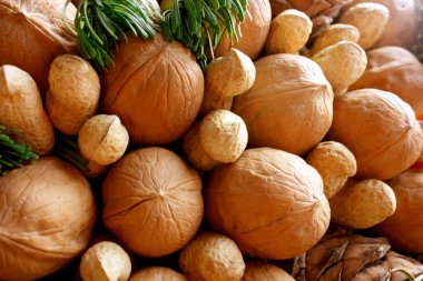 Çeşit çeşit fıstık, ceviz. Aralarında ladin dalı var. Bir buket fındık. Noel ve Yeni Yıl teması. Bayram teması. Yiyecekler. Geçmişi. Makro. Seçimlere odaklan. Metin için alanı kopyala.