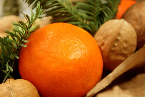 Turuncu, iki ceviz açılı. Arka planda ladin dalları var. Noel ve Yeni Yıl teması. Bu bir tatil teması. Yiyecekler. Geçmişi. Makro. Seçim odaklı.
