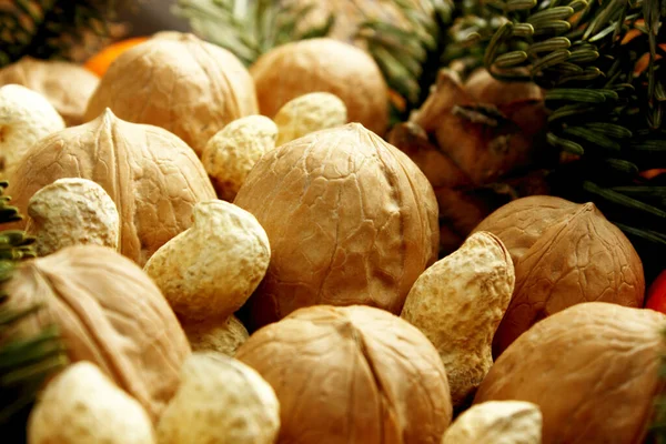 Çeşit çeşit fıstık, ceviz. Aralarında ladin dalı var. Bir buket fındık. Noel ve Yeni Yıl teması. Bayram teması. Yiyecekler. Geçmişi. Makro. Seçimlere odaklan. Metin için alanı kopyala.