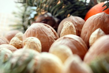 Çeşit çeşit fıstık, ceviz. Aralarında ladin dalı var, turuncu. Bir buket fındık. Noel ve Yeni Yıl teması. Tatil teması. Geçmişi. Makro. Seçimlere odaklan. Metin için boşluk kopyalanıyor.