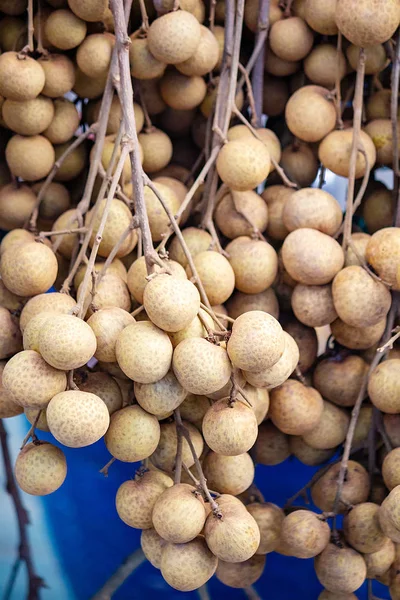 Longan Economia Frutta Lamphun Thailandia Asiatico — Foto Stock