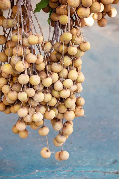 Longan Economia Frutta Lamphun Thailandia Asiatico — Foto Stock