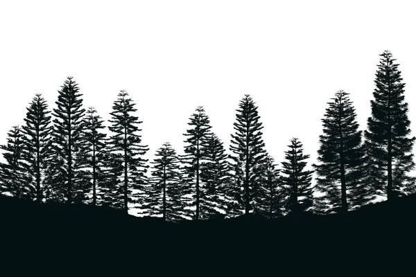 Соснове Дерево Лісовий Силует Ізольовані Oon White Backgroun — стокове фото