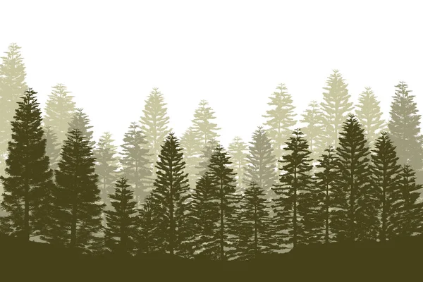 松树森林剪影查出的白色背景 — 图库照片