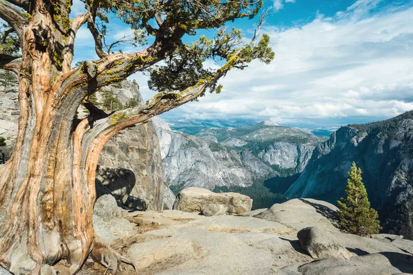 Yosemite Milli Parkı Dağlar Üst Yosemite Falls Görüntülemek Vadi Panorama — Stok fotoğraf