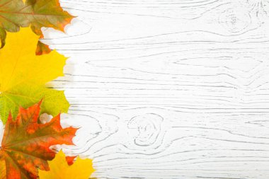 Sonbahar akçaağaç yapraklı ahşap zemin