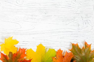 Sonbahar akçaağaç yapraklı ahşap zemin