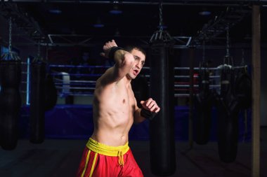 Spor: Erkek boksör boks salonunda tekme pratiği yapıyor.