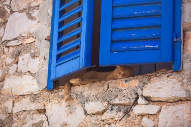 Kırmızı kedi evin penceresinde uyuyor.