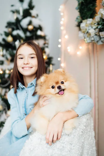 子供女の子あります保持子犬に彼女の手近くザクリスマスツリー — ストック写真