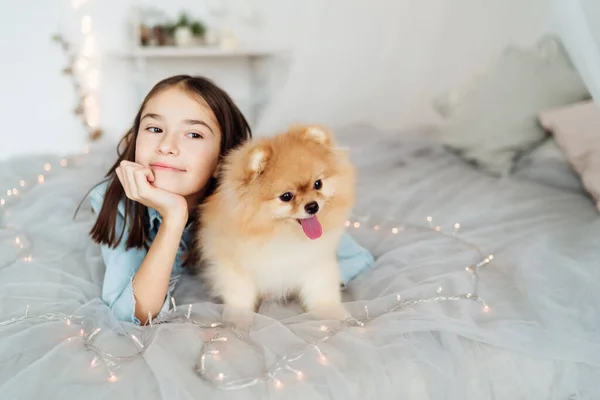 Niña Niña Está Sosteniendo Cachorro Sus Manos Cama Dormitorio Decorado — Foto de Stock