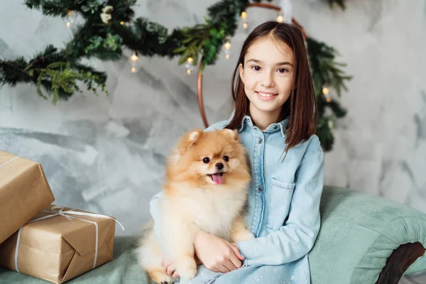 Niña Niña Está Sosteniendo Cachorro Sus Manos Sofá Dormitorio Decorado — Foto de Stock