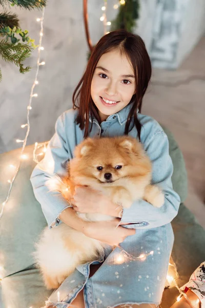 Niña Niña Está Sosteniendo Cachorro Sus Manos Sofá Dormitorio Decorado — Foto de Stock