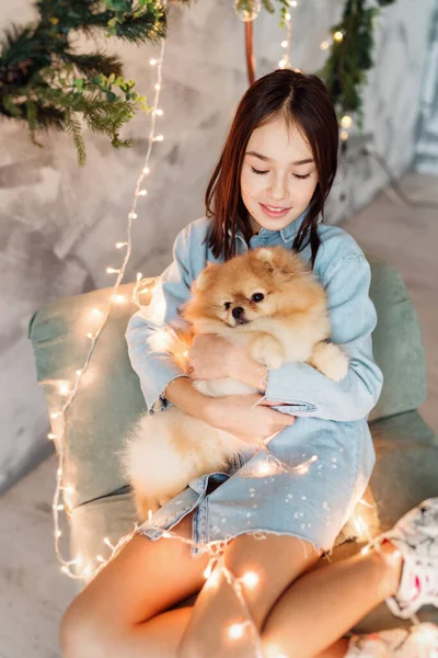 Niña Niña Está Sosteniendo Cachorro Sus Manos Sofá Dormitorio Decorado — Foto de Stock