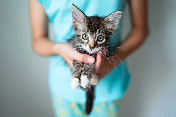 可愛いです子供女の子保持A子猫で彼女の腕 — ストック写真