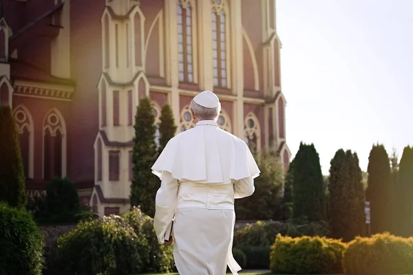 Pape Promène Fin Journée Dans Jardin Vue Arrière — Photo