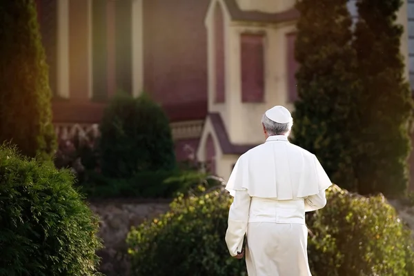 Pape Promène Fin Journée Dans Jardin Vue Arrière — Photo