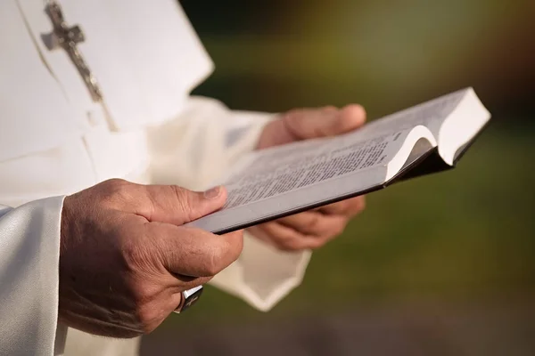 Pape Lit Bible Dans Jardin — Photo