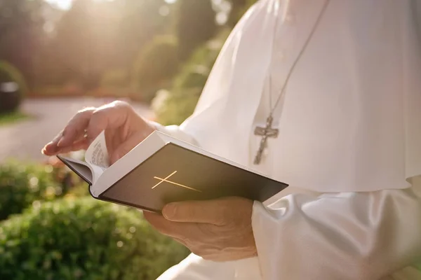 Pape Lit Bible Dans Jardin — Photo