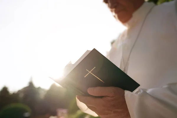 Pope reads the Bible in the garden