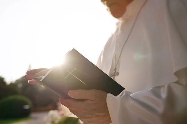 Pape Lit Bible Dans Jardin — Photo