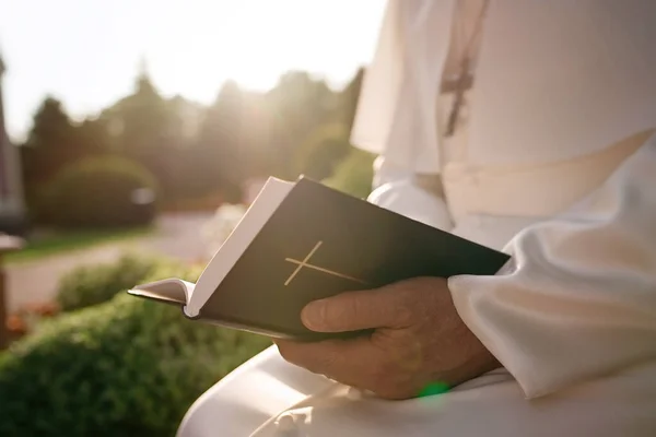 Pope Reads Bible Garden — Stock Photo, Image