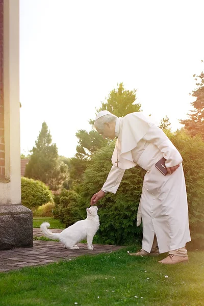 Papa Acariciando Gato Branco — Fotografia de Stock
