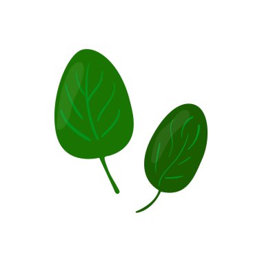 Ispanak yeşil vektör simge bırakır. Çizgi film illüstrasyon izole beyaz arka plan üzerinde yeme sağlıklı.