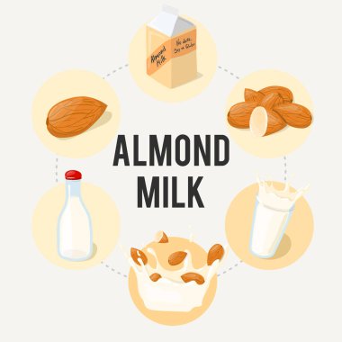 Badem sütü Infographic vektör reklam afişi. Çizgi film illüstrasyon izole beyaz arka plan üzerinde yeme sağlıklı. 