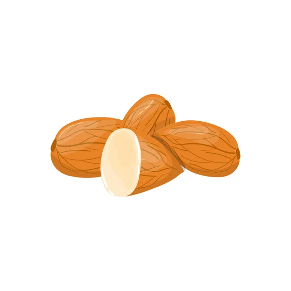 Closeup Almond Vector Icon Healthy Eating Cartoon Illustration Group Nuts — Stock Vector