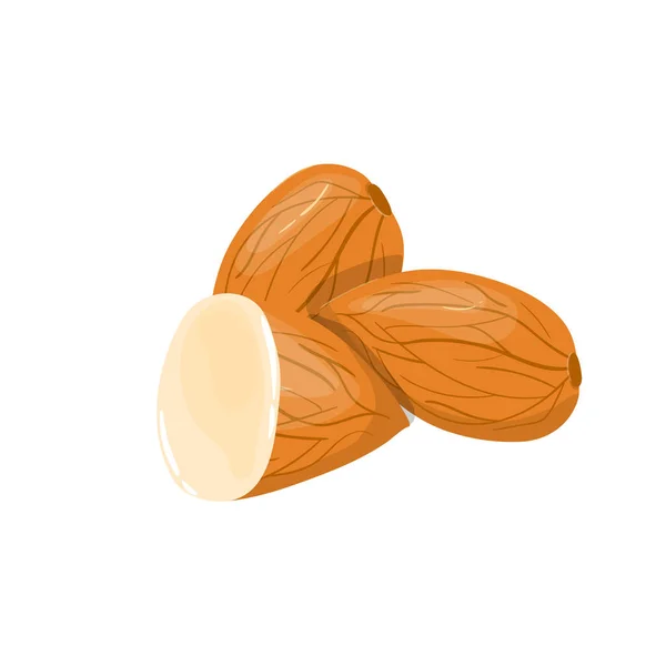 Closeup Almond Vector Icon Healthy Eating Cartoon Illustration Group Nuts — Stock Vector
