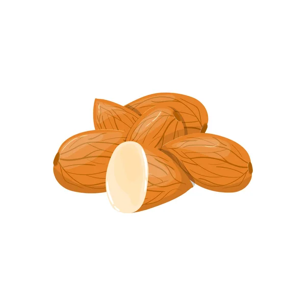 Closeup Almond Vector Icon Healthy Eating Cartoon Illustration Group Nuts — Stock Vector