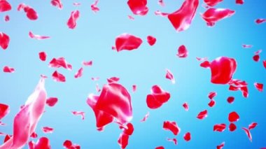 Gül Yaprakları Düşen (Loop) 4k. Uçan kırmızı gül yaprakları akışı ve kopyalama alanı ile sakin arka plan. Sorunsuz döngüye tabi.