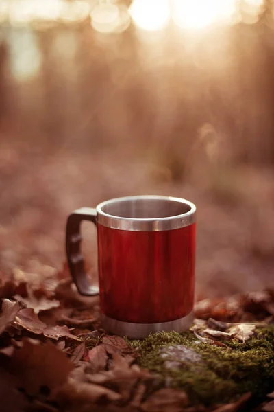 Red mug with hot steaming drink on a stump.